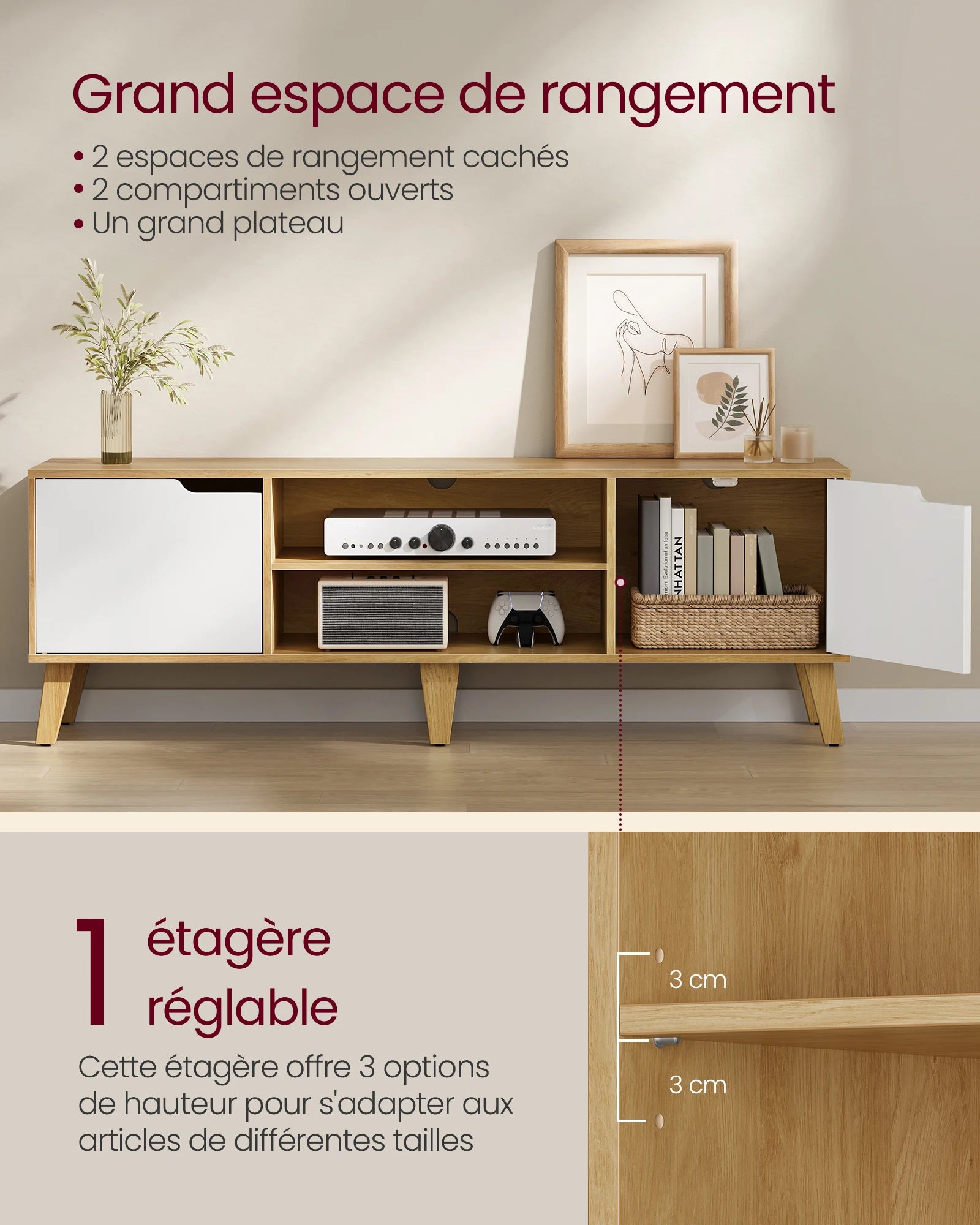 Meuble TV Scandinave 2 Portes