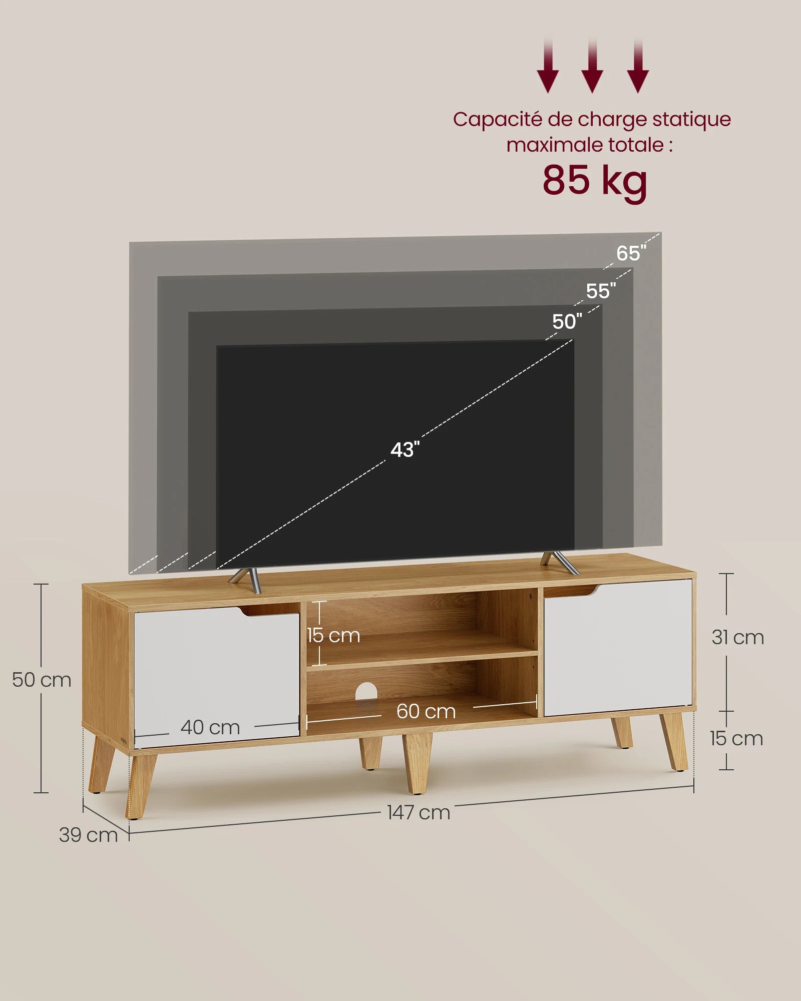Meuble TV Scandinave 2 Portes